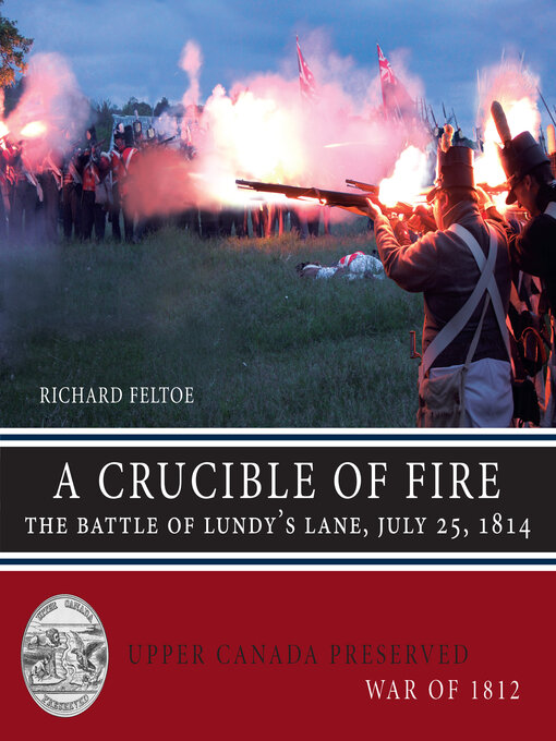 Title details for A Crucible of Fire by Richard Feltoe - Available